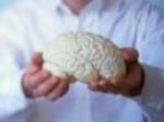 Эксперт: изучение мозга важнее развития техники
