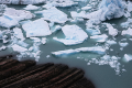 В тающих ледниках обнаружили ядерную угрозу