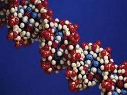 Ученые получили кристаллы из фрагментов молекул ДНК