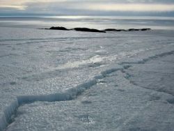 Вода из подлёдного озера в Антарктиде стерильна
