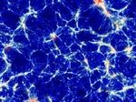 Учёные нашли общие черты в развитии Вселенной, Интернета и головного мозга