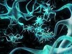 Учёные Поднебесной научились получать клетки мозга из мочи