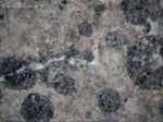 Томские ученые создают особые марки бетона на заказ