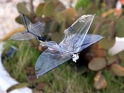 В Израиле создали беспилотник размером с бабочку