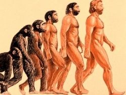 Естественный отбор — слабое звено теории эволюции