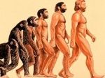 Естественный отбор — слабое звено теории эволюции