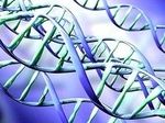 ДНК идеально подходит для хранения цифровых данных