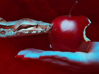Apple   " "