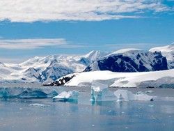 Во льдах Южного полюса нашли останки древних насекомых