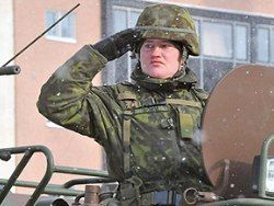 Эстонские солдаты приняли метеорит за НЛО