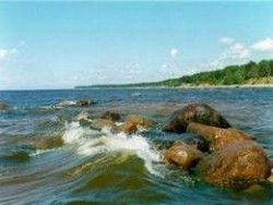 Ученые опасаются, что Балтийское море станет болотом