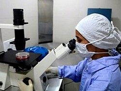 Ученые планируют клонировать антитела для борьбы с ВИЧ