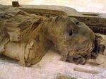 Египетские мумии открывают генетические секреты