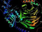 Ученые изучают биологический процесс белков | техномания