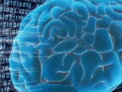 США вложат $100 млн в разработки искусственного мозга
