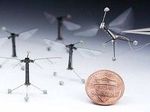 Ученые создали летающего робота размером с муху