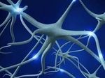 Новая технология поможет заживлению поврежденных нервов