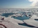 В 2054 году на Северном полюсе растает весь лед