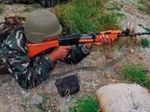 Индия начала испытание зимнего стрелкового оружия
