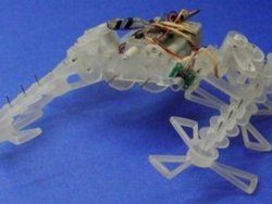 Мини-робота создали на 3D принтере