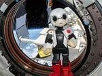 Японский робот Kirobo передал сообщение с МКС