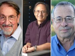 Нобелевскую премию по химии присудили за моделирование систем