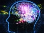 Белки Альцгеймера могут привести к нейронным пробкам