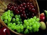 В США ботаник вывел уникальный сорт винограда