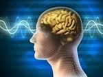 Музыка может буквально изменить головной мозг | техномания