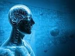 Физики близки к созданию мозгоподобной вычислительной техники