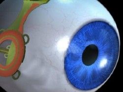Впервые удалось разработать бионический глаз
