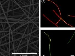 Физики создали волокна для лазерной ткани