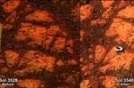 Ученые признали найденный на Марсе «блуждающий камень» феноменом