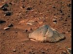 На Марсе вырос пончиковый гриб