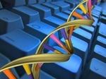 Cоздан первый в мире алгоритм для ДНК-компьютера