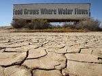 Засуха в Калифорнии дает толчок развитию инноваций