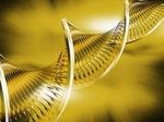 Ученые создали подробную карту развития ДНК человека