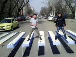 Студенты Бишкека создали новую 3D-зебру