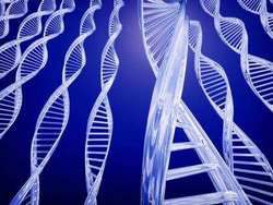 Биоинженеры смогли исправить дефектный ген