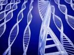 Биоинженеры смогли исправить дефектный ген