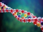 Ученые впервые синтезировали ДНК с тремя парами оснований | техномания