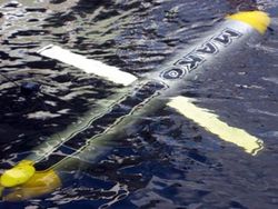 Подводные беспилотники разрабатываются для ВМФ России