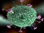 Cозданы антитела, эффективно подавляющие смертоносные вирусы | техномания