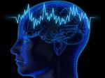 Медики опровергли теорию использования 10% мозга