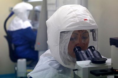 Ученые узнали способ отключения иммунной защиты вирусом Эбола