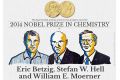 Нобелевскую премию по химии вручат за флуоресцентную микроскопию
