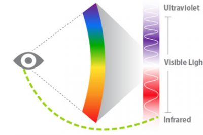Ученые заставили глаз человека различать невидимый инфракрасный свет