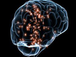 Российские ученые создают установку для изучения мозга
