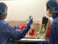 Россия и Япония испытают новый препарат против рака