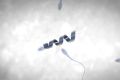 Побеждающих мужское бесплодие спермоботов показали на видео | техномания